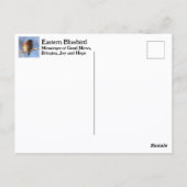 東部ブルーバード ミズーリ州の州鳥 写真 ポストカード (裏面)