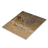 東部ワタオウサギのホッピング タイル (側面)