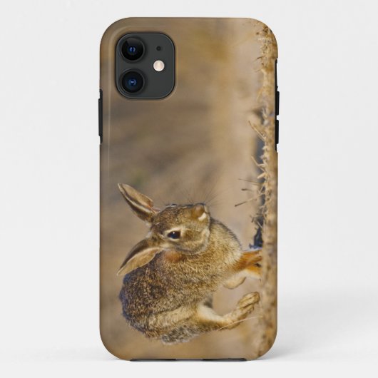 東部ワタオウサギのホッピング Case-Mate iPhoneケース (裏面)