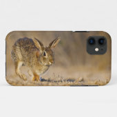 東部ワタオウサギのホッピング Case-Mate iPhoneケース (裏面(横))