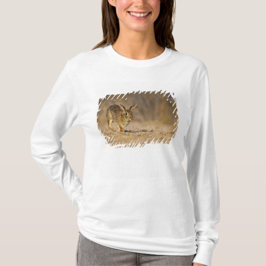 東部ワタオウサギのホッピング Tシャツ (正面)