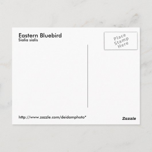 東部Bluebirdはがき ポストカード (裏面)