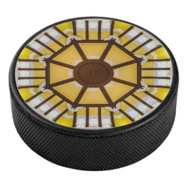 東飾京駅の天井 アイスホッケーパック