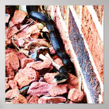 東鼠のヘビのポスター