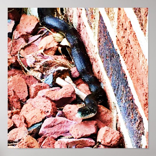 東鼠のヘビのポスター ポスター (正面)