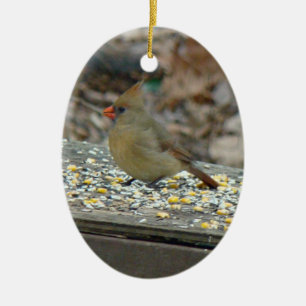 東(鳥)ショウジョウコウカンチョウソンバードクリスマスオーナメント セラミックオーナメント