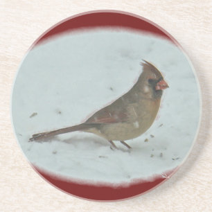 東(鳥)ショウジョウコウカンチョウソンバードメスコーディネート項目 コースター