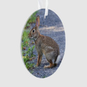 東Cottontail オーナメント (正面)