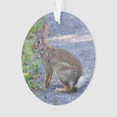 東Cottontail オーナメント (正面)