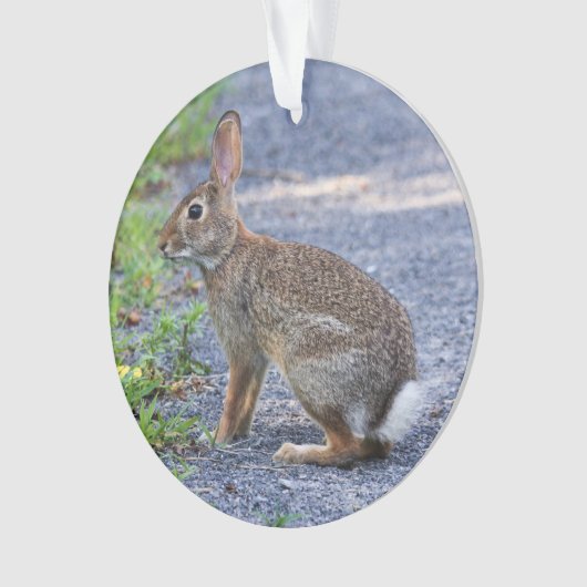 東Cottontail オーナメント (正面)