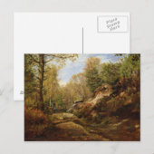 松と樺の木の木または森 ポストカード (正面/裏面)