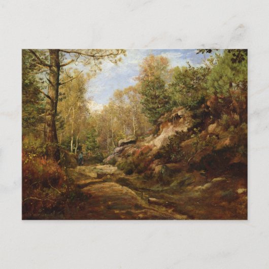 松と樺の木の木または森 ポストカード (正面)