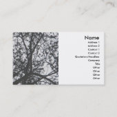 松のシルエット名刺 名刺 (正面)