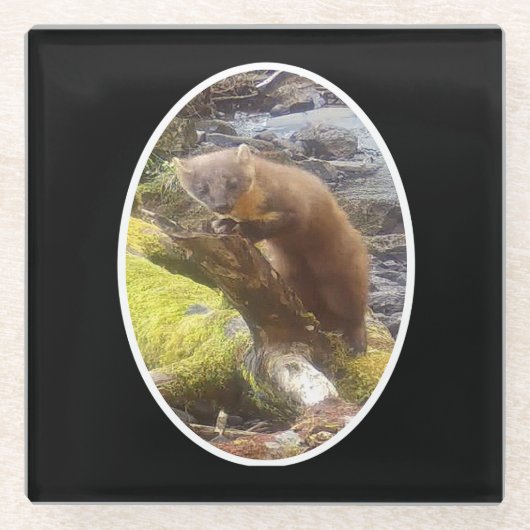 松のマーテンオンロググラスコースター ガラスコースター (正面)