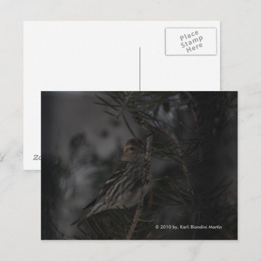 松の中で ポストカード (正面/裏面)