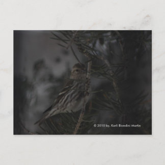 松の中で ポストカード