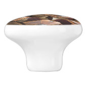 松の円錐のクローズアップ セラミックノブ (側面)