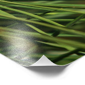 松の円錐クローズアップ フォトプリント            (角)