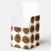 松の円錐優先ボックス フェイバーボックス (オープン)