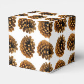 松の円錐優先ボックス フェイバーボックス (裏面サイド)