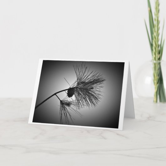 松の円錐枝 – ノワール，カード カード (正面)