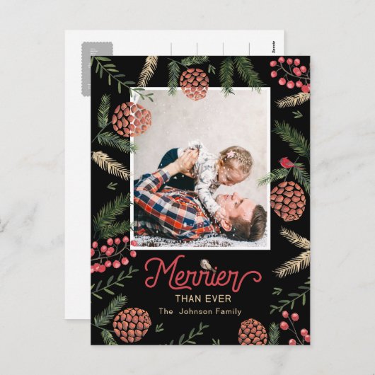 松の円錐 |はがき |ホリデーフォトカード シーズンポストカード (正面/裏面)