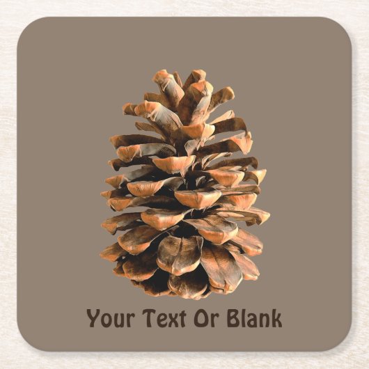 松の円錐 スクエアペーパーコースター (正面)