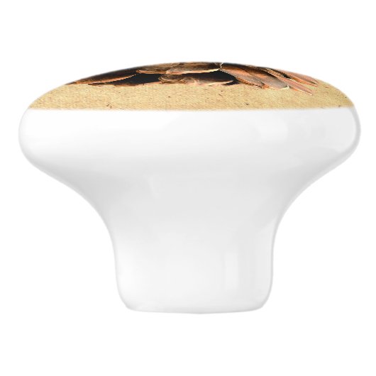 松の円錐 セラミックノブ (側面)