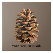 松の円錐 タイル (正面)