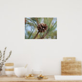 松の円錐 ポスター (キッチン)