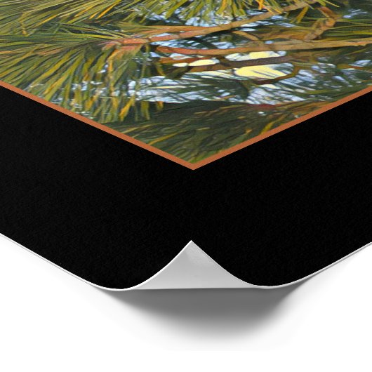 松の円錐 ポスター (角)