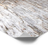 松の円錐 ポスター (角)