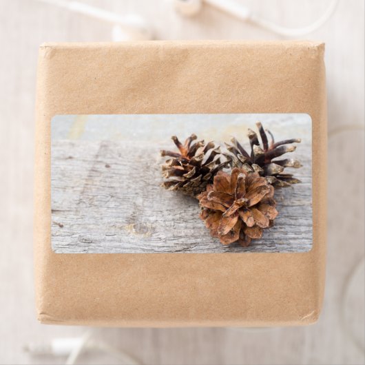 松の円錐 ラベル (インサイチュ)