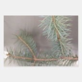 松の包み紙フラットシートセット3 ラッピングペーパーシート (正面)