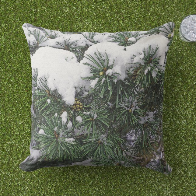 松の実を持つ雪をかぶった常緑小枝 クッション (芝生)