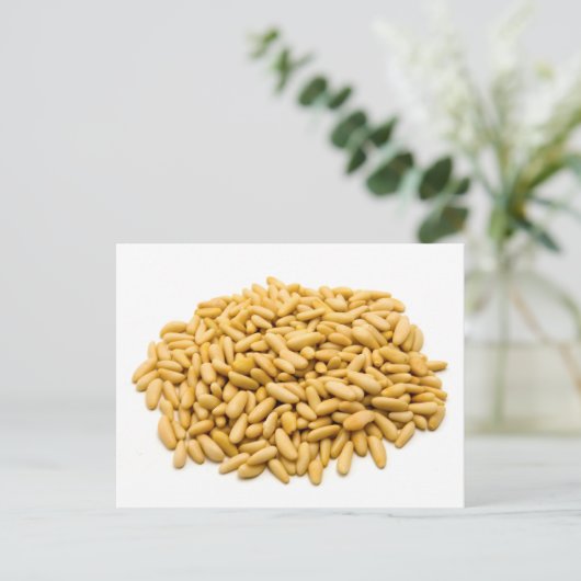 松の実 ポストカード (スタンド正面)