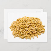 松の実 ポストカード (正面/裏面)