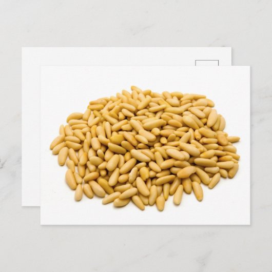 松の実 ポストカード (正面/裏面)