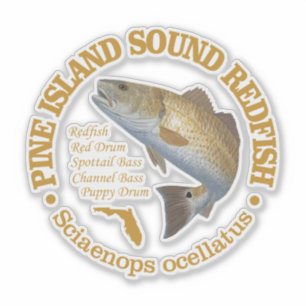 松の島の音(赤魚) シール