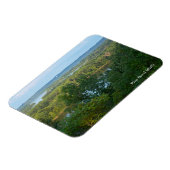 松の曲げブラフミシシッピ川を見下ろす マグネット (左側)