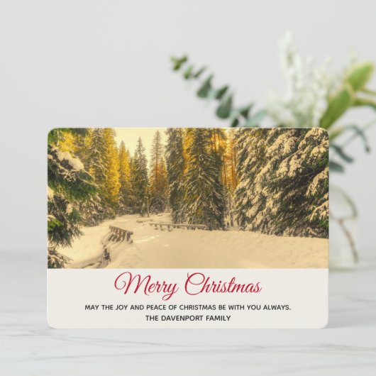 松の木が咲く雪の冬の道クリスマス シーズンカード (スタンド正面)