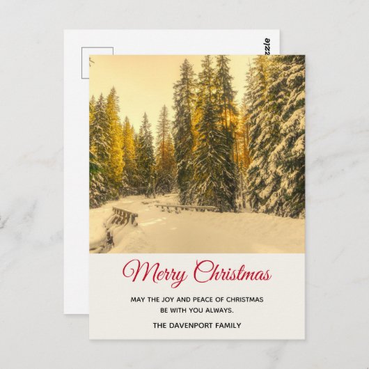 松の木が咲く雪の冬の道クリスマス ポストカード (正面/裏面)