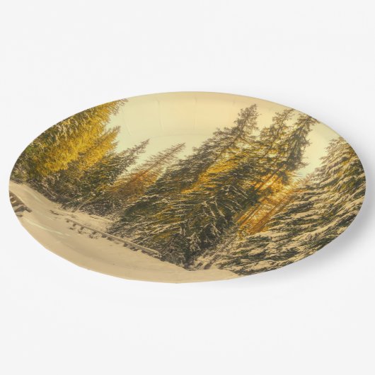 松の木が生える雪の冬の道 ペーパープレート (アングル)