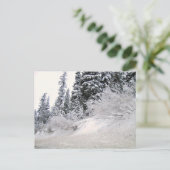 松の木が雪に覆われた丘の中腹 ポストカード (スタンド正面)