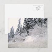 松の木が雪に覆われた丘の中腹 ポストカード (正面/裏面)