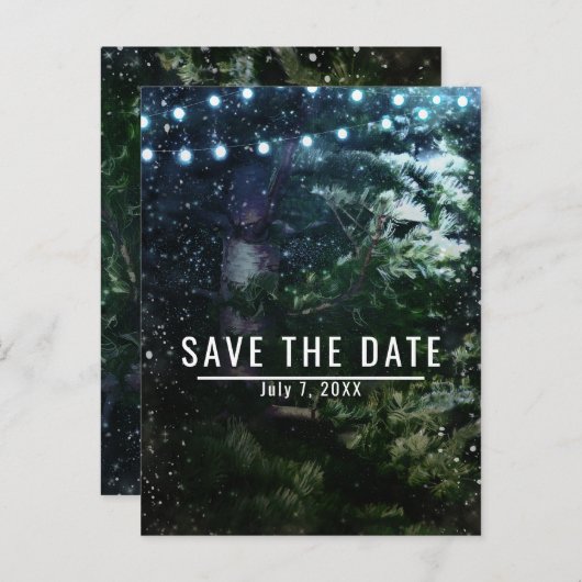 松の木とライトの冬のウェディング・セーブ・ザ・デート 案内ポストカード (正面/裏面)
