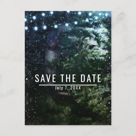 松の木とライトの冬の結婚式 Save the Date 案内ポストカード (正面)