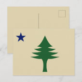 松の木と星1901メイン州国旗 ポストカード (正面/裏面)