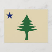 松の木と星1901メイン州国旗 ポストカード (正面)