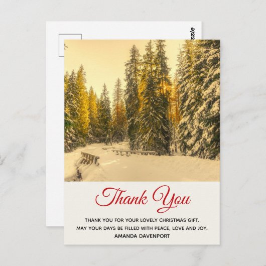 松の木と雪の冬の道ありがとう ポストカード (正面/裏面)